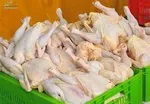 دلیل افزایش قیمت گوشت مرغ اعلام شد