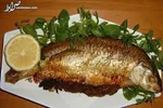 این ماهی ۵ سال غذا نمی‌خورد +عکس