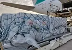 لگدمال شدن حقوق مصرف‌کنندگان در برخی فروشگاه‌های مجازی