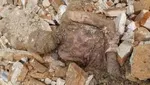 شما با جنازه عکس سلفی می‌گیرید؟!