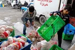 قیمت جدید مرغ و تخم‌مرغ اعلام شد
