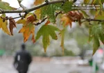 هواشناسی ایران۱۴۰۴/۴/۳۰؛ استمرار بی‌هنجاری دما
