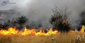 فیلم/ آتش‌سوزی گسترده در منطقه صنعتی اراضی اشغالی از توابع حیفا