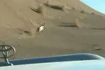 دستگیری سارقان کاشی‌های سقاخانه تاریخی