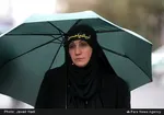 آیین پیاده‌روی جاماندگان اربعین در پایتخت + عکس و فیلم