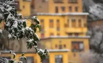 پیش‌بینی نوروز پر بارش برای کشور