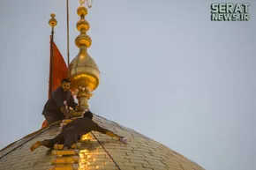 تصاویر/ گربۀ وزارت خارجه انگلیس