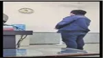 آتش‌بازیِ سال نو، جان صد‌ها پرنده در رم را گرفت+ عکس
