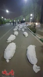 بزرگترین منکر در شهرداری تهران حرام‌خواری است!