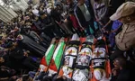 بسیجی‌ها مرغان آغشته به خونی هستند که جایشان در این دنیا نیست