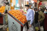 قیمت گوجه کاهش یافت