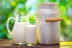 قیمت خرده فروشی ۴ گروه خوراکی کاهش یافت