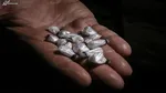دستگیری ۸۲۲ تبهکار در تهران/ افزایش استفاده سلاح گرم توسط سارقان