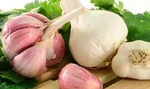 پلمب مغازه‌ای که ورود افغانی‌ها را ممنوع کرده بود +عکس