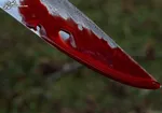قتل فجیع زن ۲۳ ساله و کودک یک ساله اش در خانه!