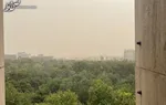 وزش باد شدید در تهران