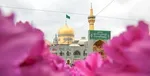 چرا ۲۳ ذی‌القعده روز زیارتی امام رضا (ع) است؟