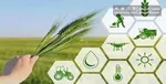 حضور رئیس‌جمهور در بانک مرکزی با هدف پیگیری تأمین امنیت غذایی
