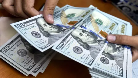 پیش بینی بازار ارز فردا دوشنبه ۱۲ مرداد ۱۴۰۵