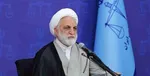 اژه‌ای: انتشار فیش‌ حقوقی جرم نیست