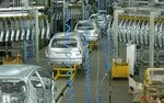 تبانی ۳ سازمان دولتی برای کشت پنبه تراریخته