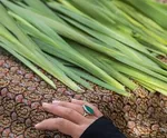 هویت ۵ شهید گمنام دفاع مقدس شناسایی شد