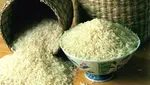 زورآزمایی مافیای بازار با دستگاه‌های نظارتی