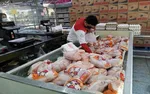 دلیل افزایش قیمت گوشت مرغ اعلام شد