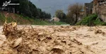استاندار: ۵ نفر در سیل استان تهران همچنان مفقود هستند