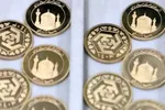ادعای رییس اسبق بانک مرکزی: سلطان سکه بی‌گناه بود