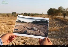 تصاویر/ کشف اجساد ده‌ها شهید از گور دسته‌جمعی داعش