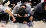 زمین‌گیر شدن 117 نفر از سارقان پایتخت