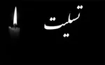 لغو پخش زنده بازی یادبود انصاریان و میناوند به خاطر عادل فردوسی‌پور!