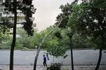 پیش‌بینی بارش باران و برف در ۲۳ استان کشور