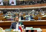 خطیب‌زاده: هیات حاکمه افغانستان باید مسوولیت امنیت همه شهروندان را بپذیرد