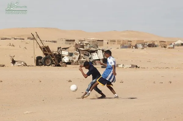 کمپ پناهندگان در الجزایر
