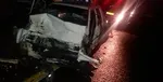 دستگیری سارقی که فقط گُل می‌دزدید!