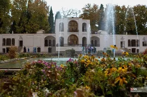 تصاویر / فصل لاله‌ها در باغ ایرانی