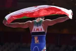 تاج بازنشسته نیست/ دولت موافق واگذاری سرخابی‌ها بر اساس روال مجلس نیست