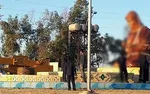 عکس/ نگهبان خوش ذوق