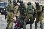 ادامه حملات خونین صهیونیست‌ها به جنین