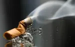 گوشت و مرغ نشد، تخم‌مرغ بخورید!