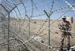 واکنش احمدی‌مقدم به حادثه سراوان