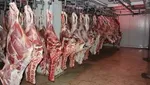 تداوم واردات گوشت منجمد از برزیل و لهستان