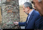 مسیرهای تهرانگردی در ایام نوروز اعلام شد