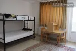 فیلم / حمایت از فلسطین این بار در جشن فارغ التحصیلی دانشجویان میشیگان