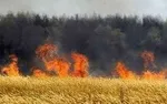 آتش خائیز باز هم زبانه کشید