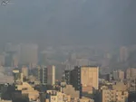 بهترین مکمل‌ها برای سالمندان کدامند؟