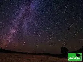 فیلم | خرس‌های سبلان در کمین مناطق مسکونی