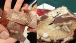 بازداشت ۷ موموی خطرناک ایرانی
